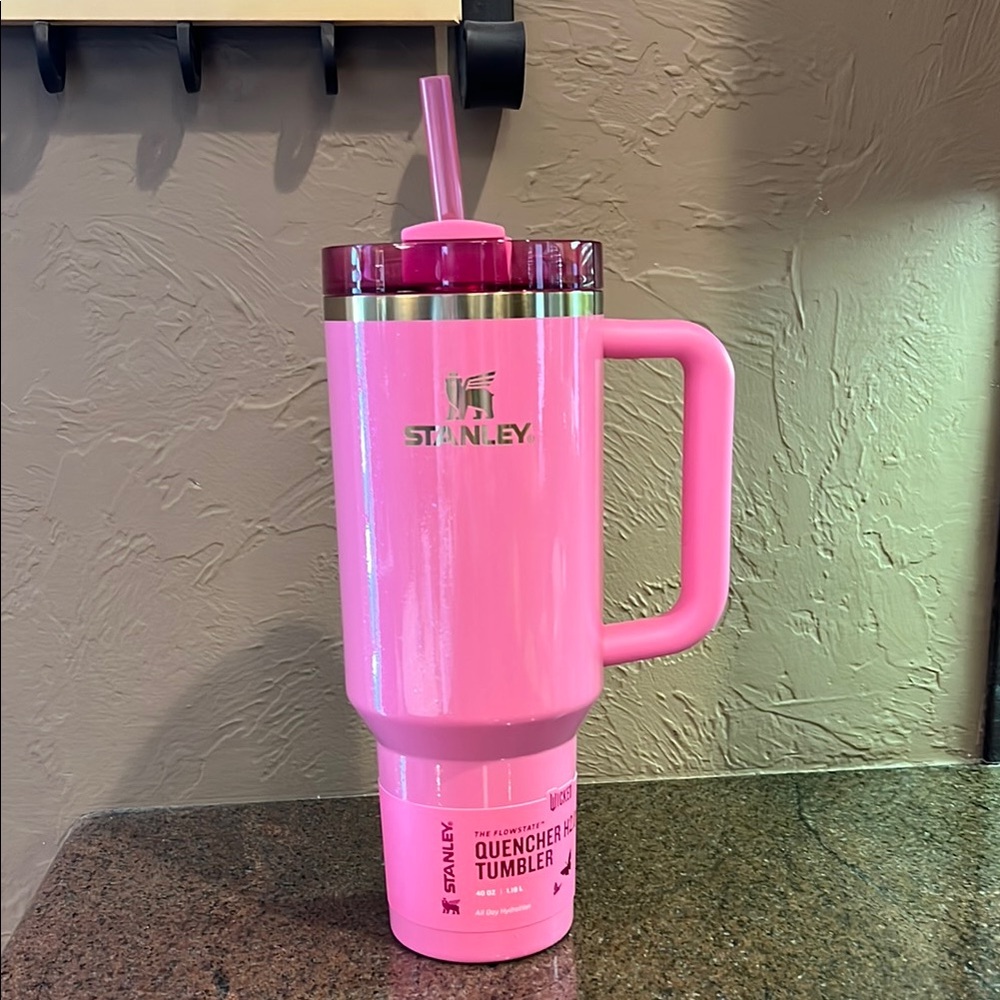 NWT Target exclusive Wicked Glinda 40oz Stanley